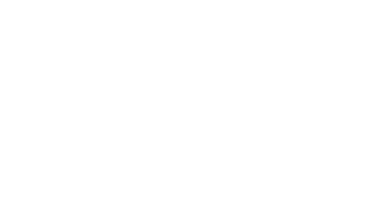Brigitte Spa — Estética Integral